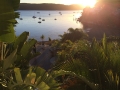 palm-beach-pittwater