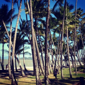 Palm Cove, Tropical North Queensland