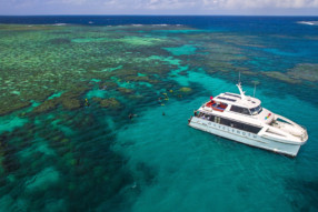 Port Douglas: Where Rainforest Meets Reef