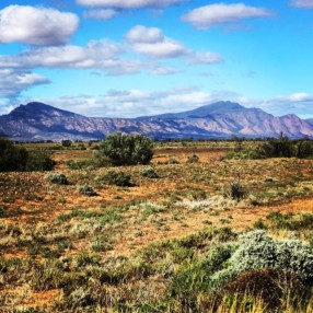 Flinders Ranges, South Australia