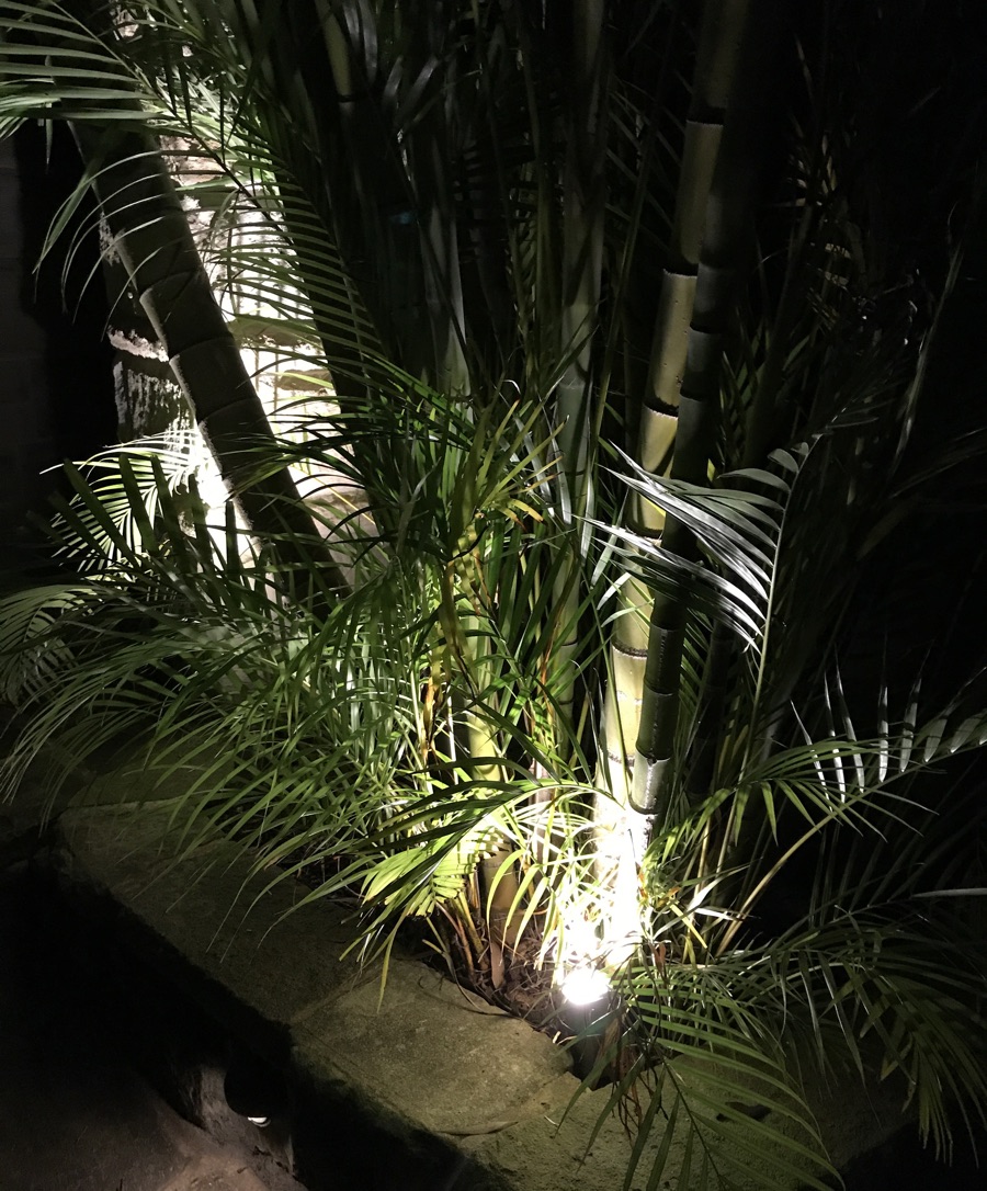 Outdoor lighting Sydney gardens